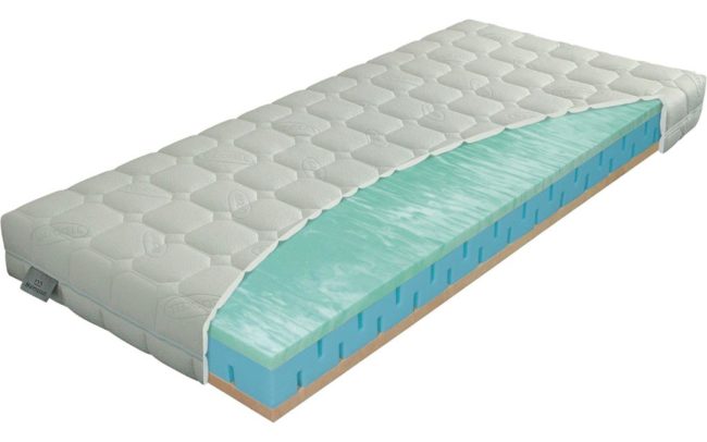 0717_PARTNER biogreen